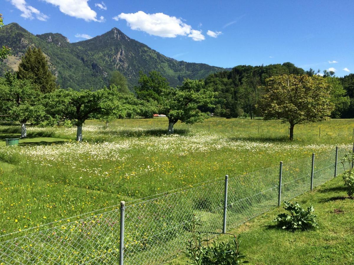 5-Sterne Active Ferienwohnung Chiemgau Marquartstein Dış mekan fotoğraf
